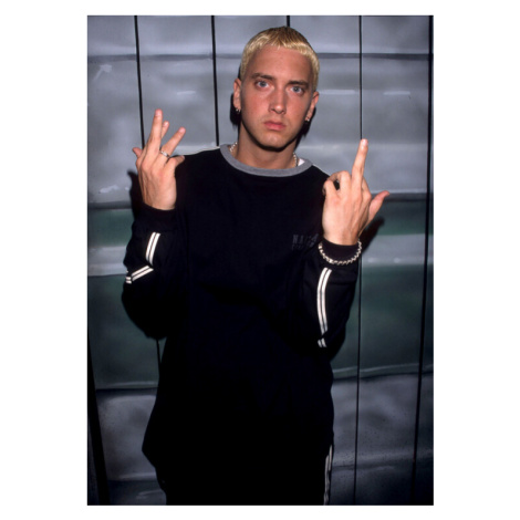 Fotografie Eminem at the 1999 MTV Video Music Awards, Kevin.Mazur, 30 × 40 cm