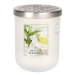 Velká svíčka - Bílý čaj a eukalyptus Albi