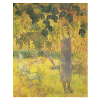 Obrazová reprodukce Man Picking Fruit from a Tree, 1897, Paul Gauguin, 30 × 40 cm