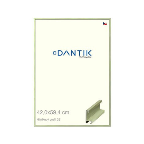 DANTIK rámeček 42 × 59,4, ALU profil 6035 Dýha barevný zelený pastel plexi čiré