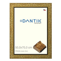 DANTIK rámeček 50 × 70, PRAHA zlatý plexi čiré