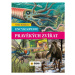 Velká školákova Encyklopedie pravěkých zvířat