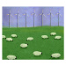 Ilustrace Illustration of flock of sheep grazing, Westend61, 40 × 34.8 cm