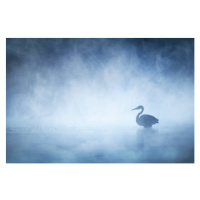 Fotografie Beautiful Mysterious Great Blue Heron on, Vicki Jauron, Babylon and Beyond Photograph