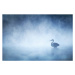 Fotografie Beautiful Mysterious Great Blue Heron on, Vicki Jauron, Babylon and Beyond Photograph