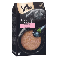 Sheba Classic Soup kapsičky 40 x 40 g výhodné balení - Losos