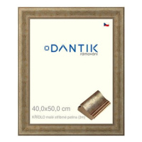 DANTIK rámeček 40 × 50, KŘÍDLO malé stříbrné patina plexi čiré