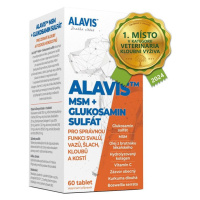 Alavis MSM + Glukosamin sulfát pro psy 60tbl