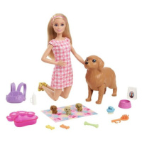 Mattel Barbie Novorozená štěňátka HCK75