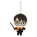 Harry Potter přívěsek 10 cm