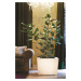 Dřevěný samozavlažovací květináč NATURA, široký, více variant - Hobby Flower Barva: světlý dub