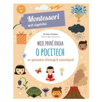 Moje první kniha o pocitech (Montessori: Svět úspěchů) - Chiara Piroddiová