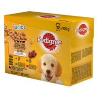 Pedigree Vital Protection Junior krmivo v aspiku 12 x 100 g