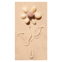 Ilustrace Flower of sea stones drawn on, AndrewRafalsky, 22.2 × 40 cm