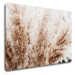 Impresi Obraz Suchá tráva skandinávský styl - 90 x 60 cm