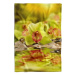 IMPAR Fleecová deka Zelená orchidej, 200 × 140 cm