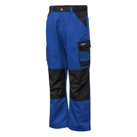 PARKSIDE® Pánské pracovní kalhoty (adult#male, 46, modrá)