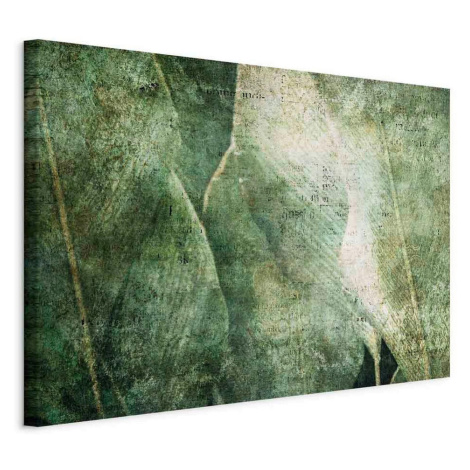 artgeist MALBA NA PLÁTNĚ, abstraktní, listy cm