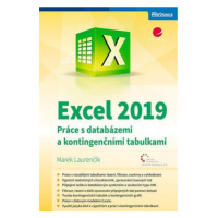 Excel 2019 - Práce s databázemi a kontingenčními tabulkami