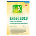 Excel 2019 - Práce s databázemi a kontingenčními tabulkami