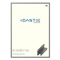 DANTIK rámeček 21 × 29,7, ALU profil 6030 Ocelový sklo čiré