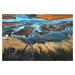 Umělecká fotografie California Aerial - The Desert From Above, Tanja Ghirardini, (40 x 26.7 cm)