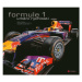 Formule 1 - Stuart Codling, James Mann