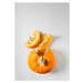 Fotografie Sliced pumpkin on white background, Claudia Totir, 30 × 40 cm