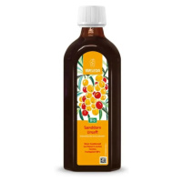 WELEDA BIO Rakytníková šťáva 250 ml