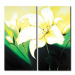 Obrazový set - Květy Lilie