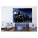 Dětská fototapeta Harry Potter 252 x 182 cm, 4 díly