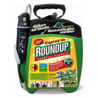 ROUNDUP Expres 6h 5l