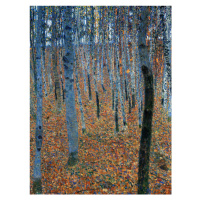 Obrazová reprodukce Beech Grove, Gustav Klimt, 30 × 40 cm