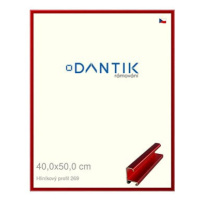 DANTIK rámeček 40 × 50, ALU profil 7269 Červený Trumalin broušený sklo čiré