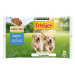 Friskies Junior s kuřetem a mrkví ve šťávě 4 × 85 g 5 ks