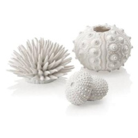 biOrb sea urchins set bílá