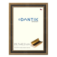 DANTIK rámeček 29,7 × 42, TOOTH malý zlato černý plexi čiré