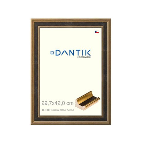 DANTIK rámeček 29,7 × 42, TOOTH malý zlato černý plexi čiré