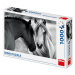 DINOTOYS - Puzzle Černobílé koně 1000