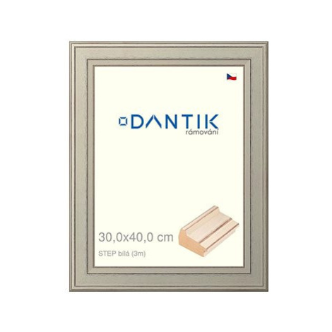 DANTIK rámeček 30 × 40, STEP bílý plexi čiré