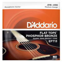 D'Addario EFT13