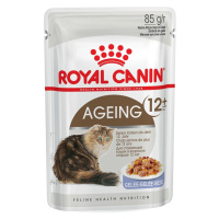 ROYAL CANIN AGEING 12+ pro kočky 12 × 85 g