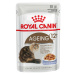 ROYAL CANIN AGEING 12+ pro kočky 12 × 85 g