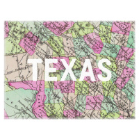 Mapa Texas Map - Historical & Vintage Maps, 40 × 30 cm