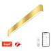 IMMAX NEO LÍNEA Smart nástěnné svítidlo 76cm 40W zlaté Zigbee 3.0