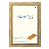 DANTIK rámeček 20 × 30, ANDRE zlatý střední sklo čiré