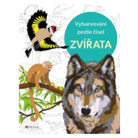 Vybarvování podle čísel: Zvířata |