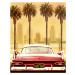 Fotografie PLYMOUTH SAVOY WITH PALMS, LARRY BUTTERWORTH, 30 × 40 cm