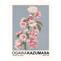 Obrazová reprodukce Cherry Blossom (Japandi Florals) - Ogawa Kazumasa, 30 × 40 cm