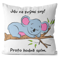 Polštář - Jdu za svými sny